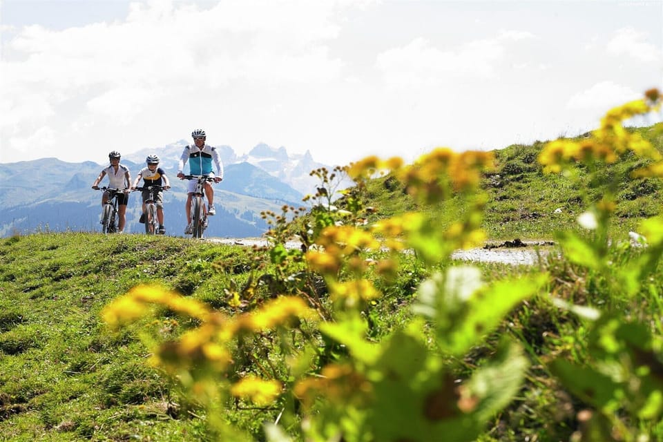 Surroundings [summer] (1-5 km)