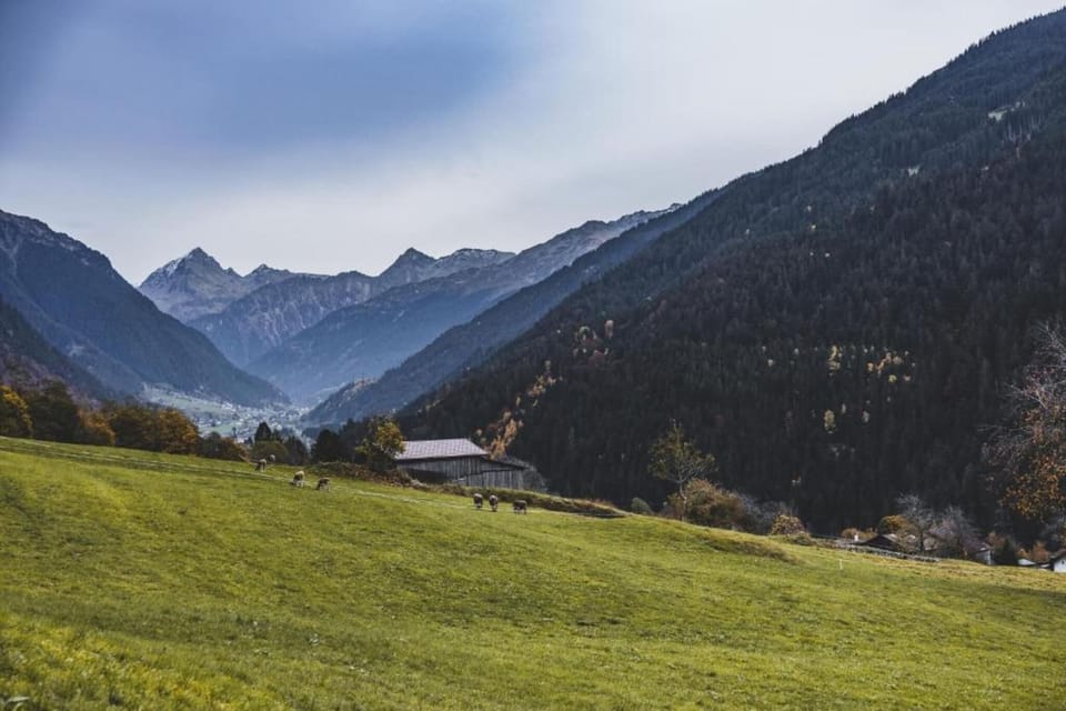 Region [summer] (>5 km)