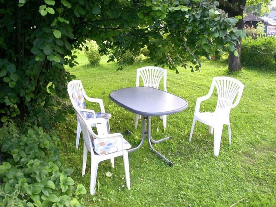 Garden [summer]