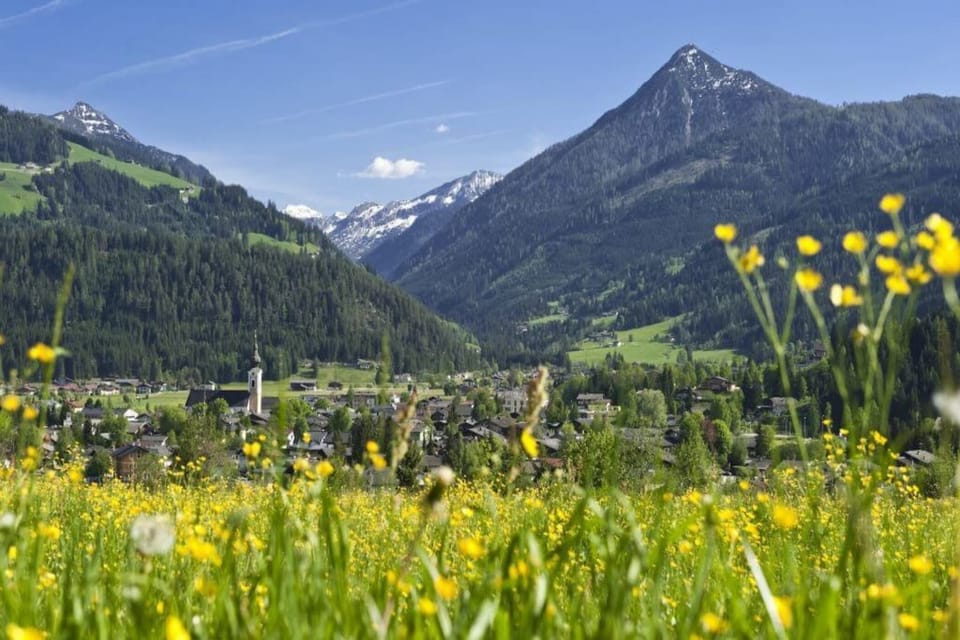 Surroundings [summer] (1-5 km)