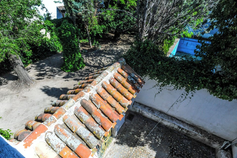 Garden (4)