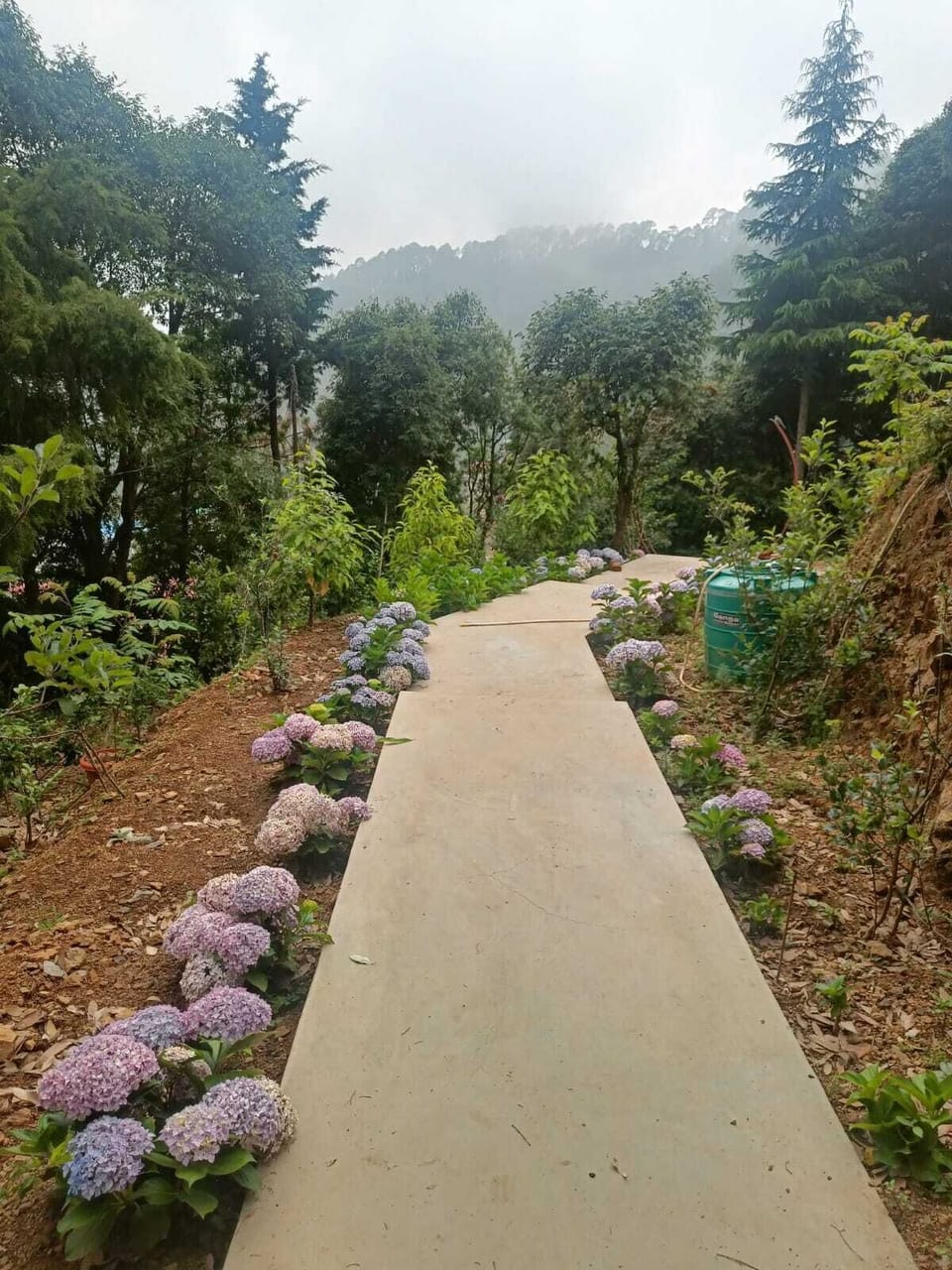 Garden/Walking Path