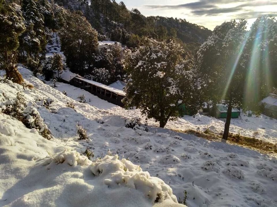 Outside View - Winters