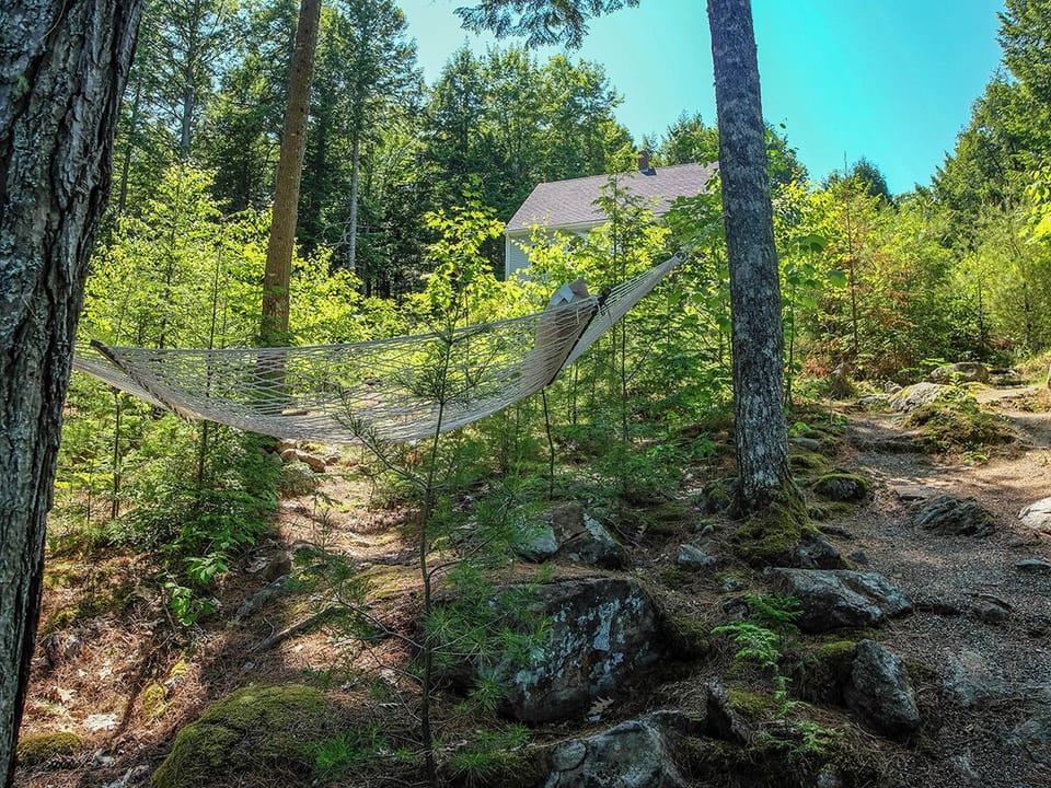 Path down to lake has a hammock stationed halfway