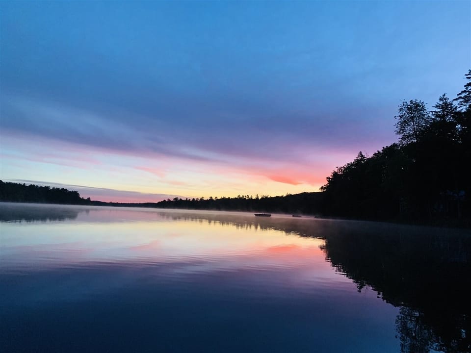 View from the pond