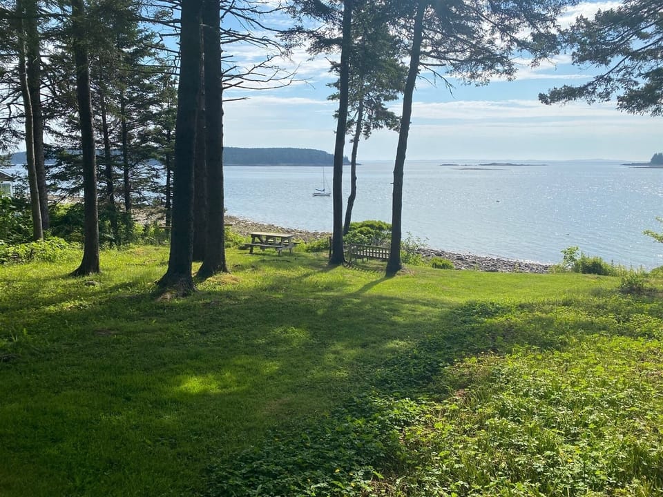 Ocean View from the Yard