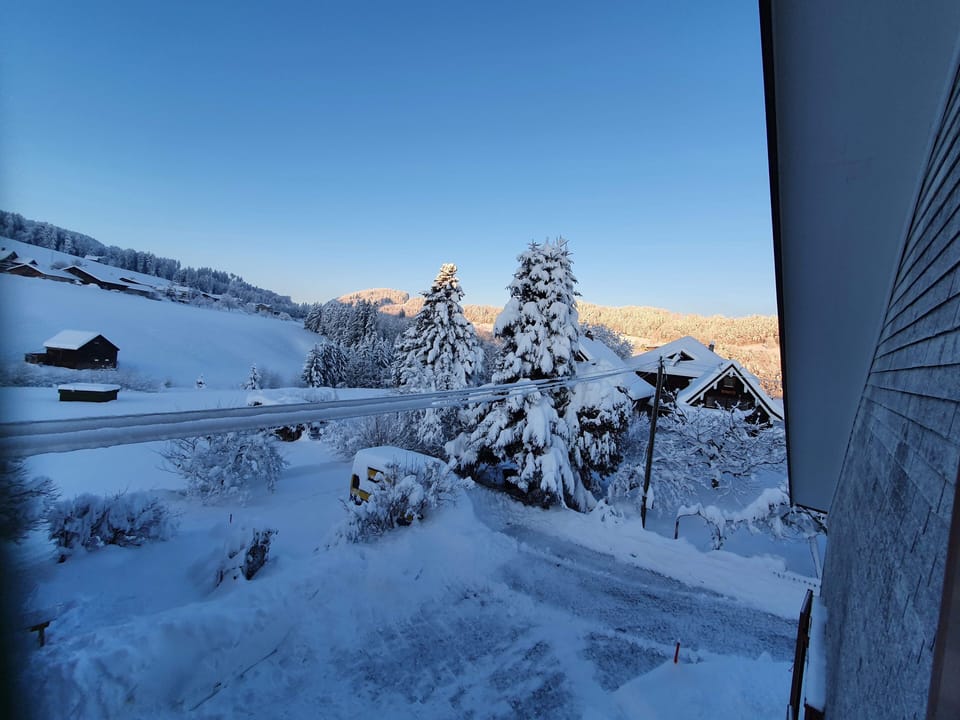 View from property