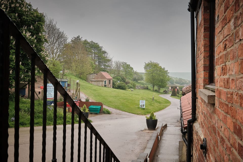 View from the cottage