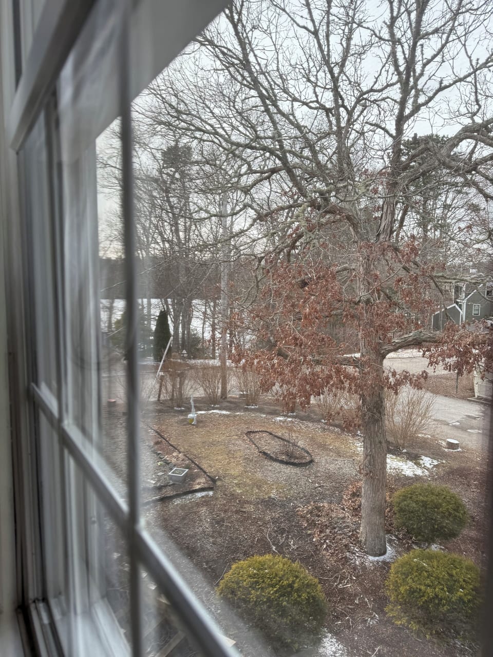View of the front pond in the colder months when trees don’t have their leaves