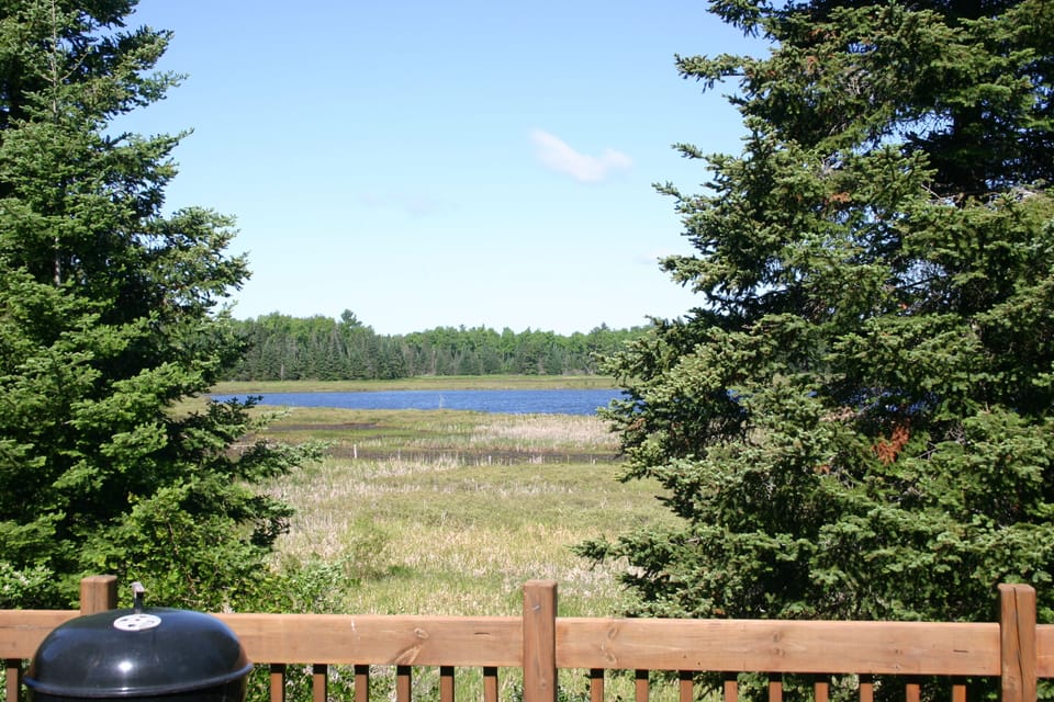 Deck Views - Deck Views