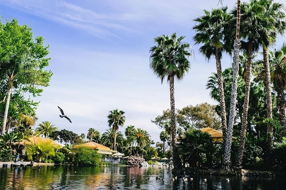 Wander through lush gardens beside tranquil water and palms.