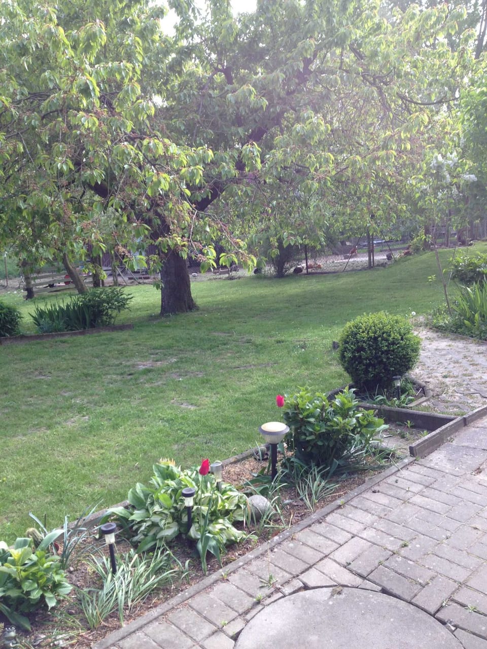 Property grounds