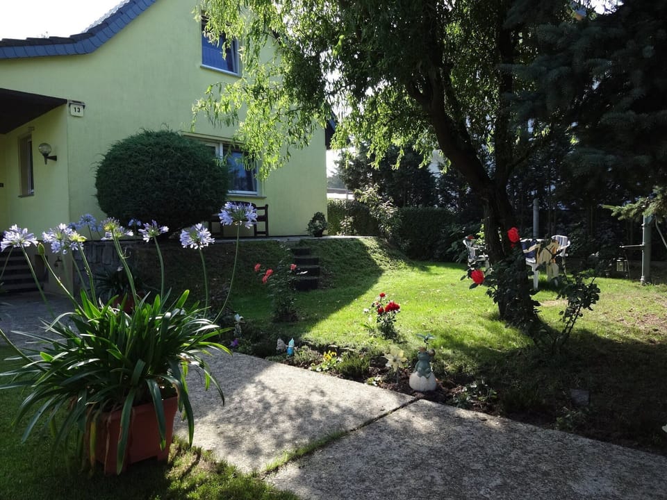 Garden [summer]