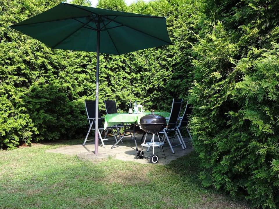 Garden [summer]