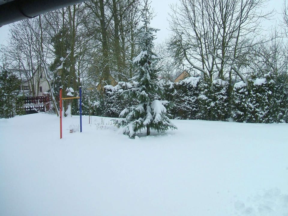 Garden [winter]