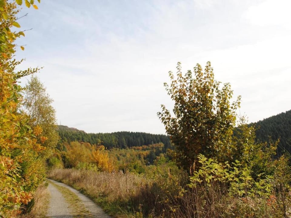 Surroundings [summer] (1-5 km)