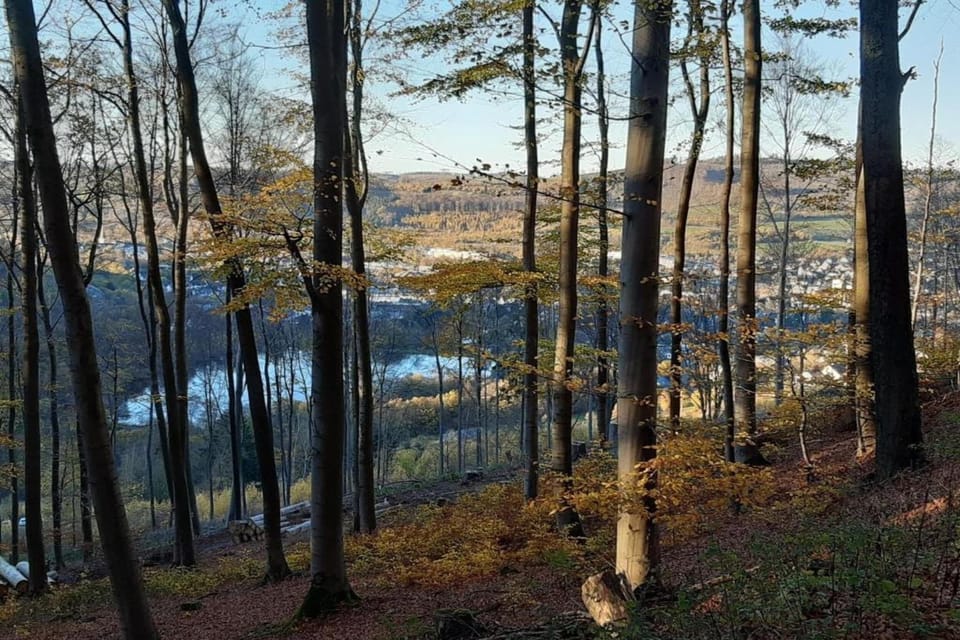 Surroundings [summer] (1-5 km)