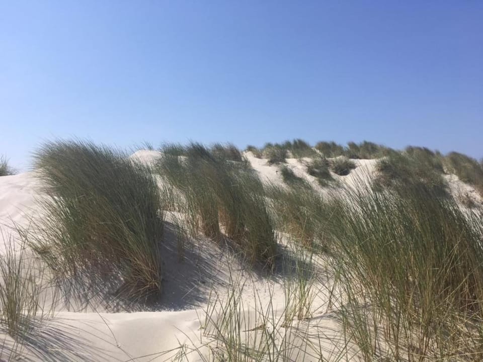 Region [summer] (>5 km)