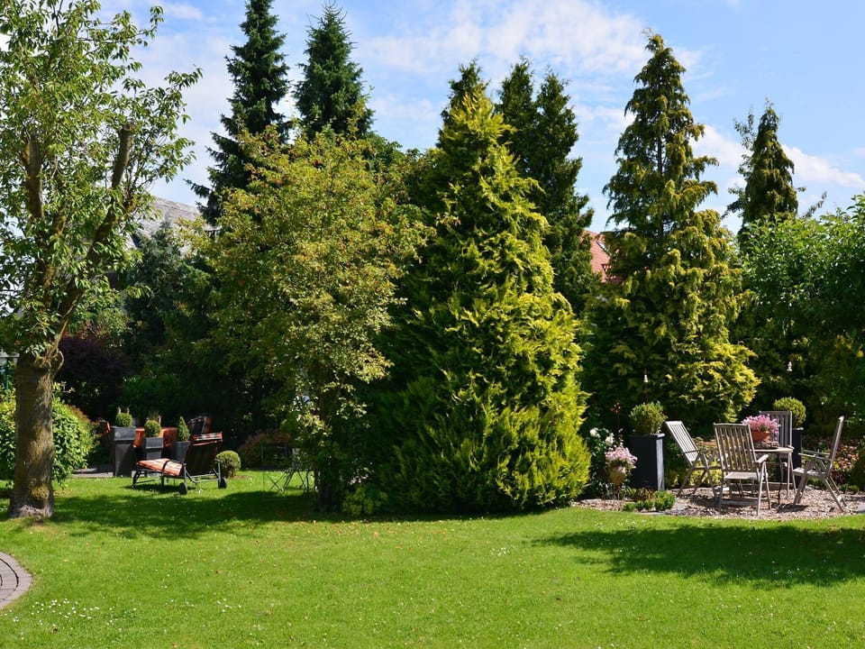 Garden [summer]