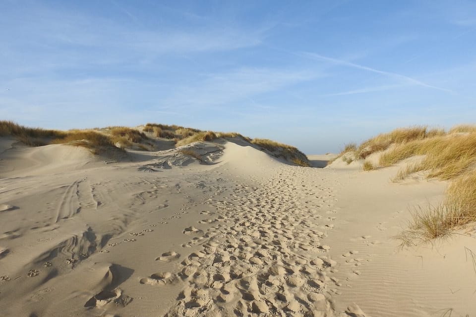 Surroundings [summer] (1-5 km)