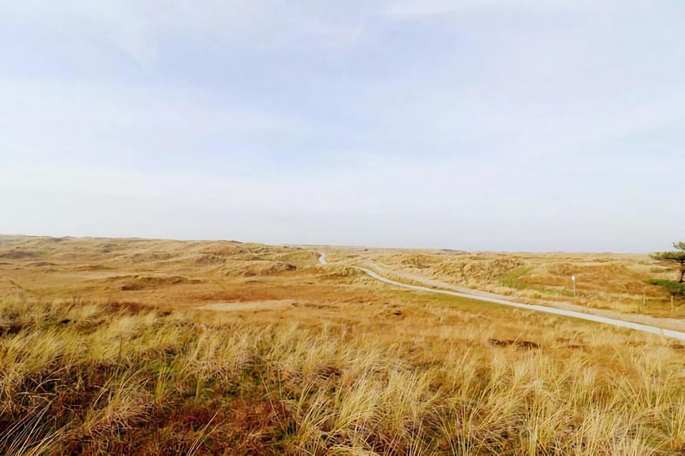 Surroundings [summer] (1-5 km)