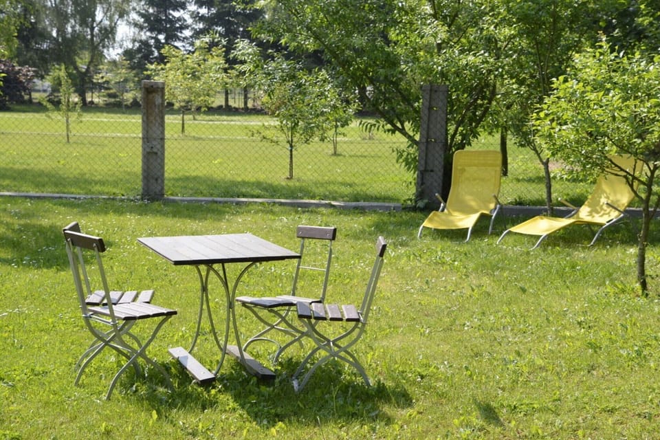 Garden [summer]