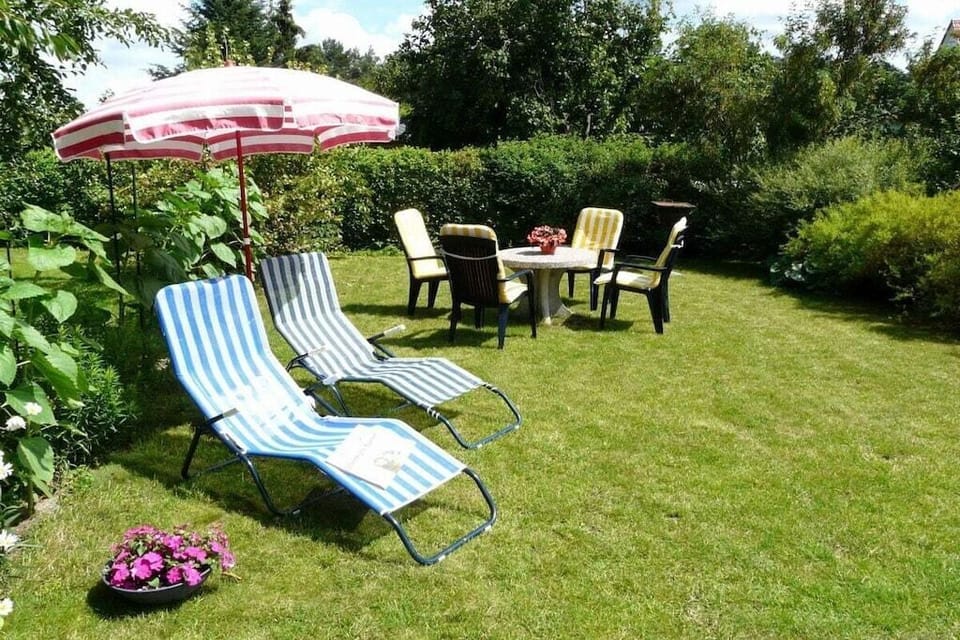 Garden [summer]