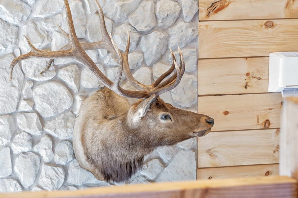 Heed the call of the wild during your stay at Elk Lodge!