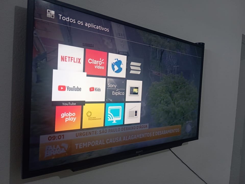 Television