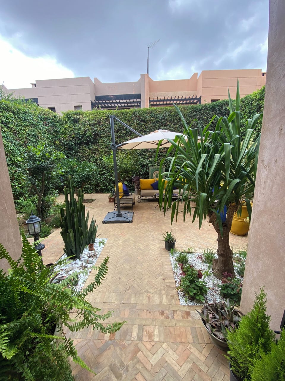 Patio Area