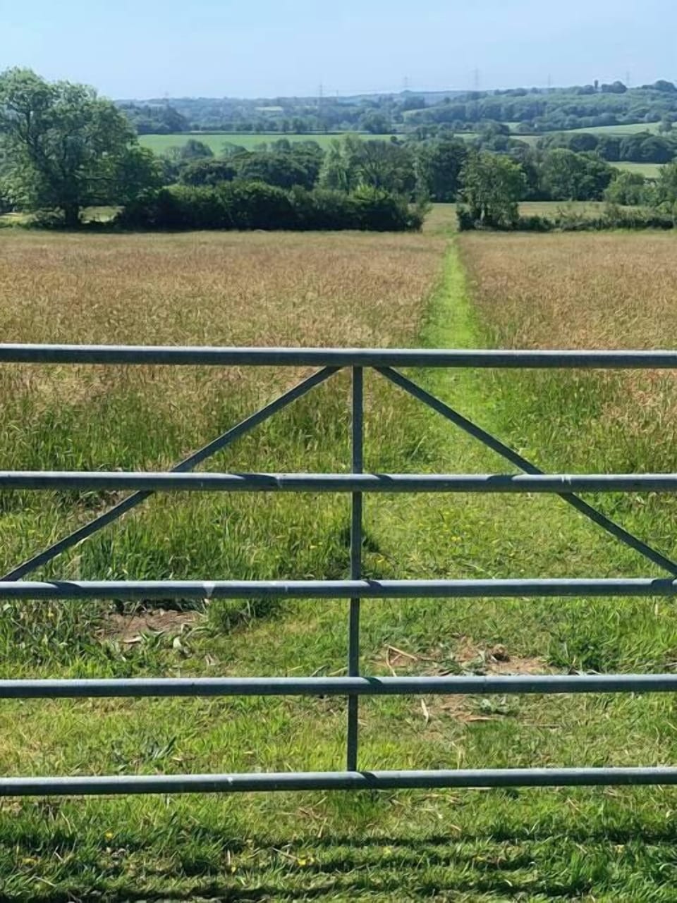 Meadows (3)