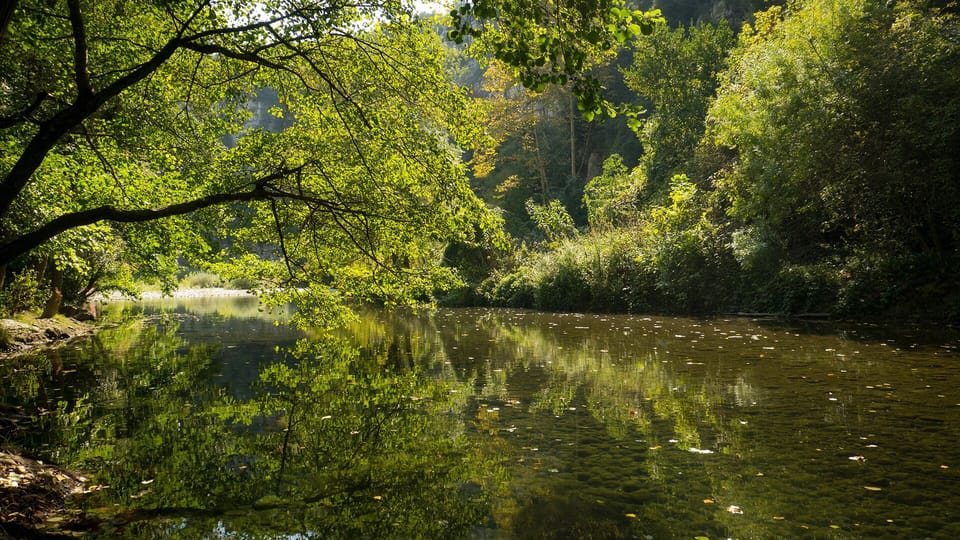 river in front of the apartment 