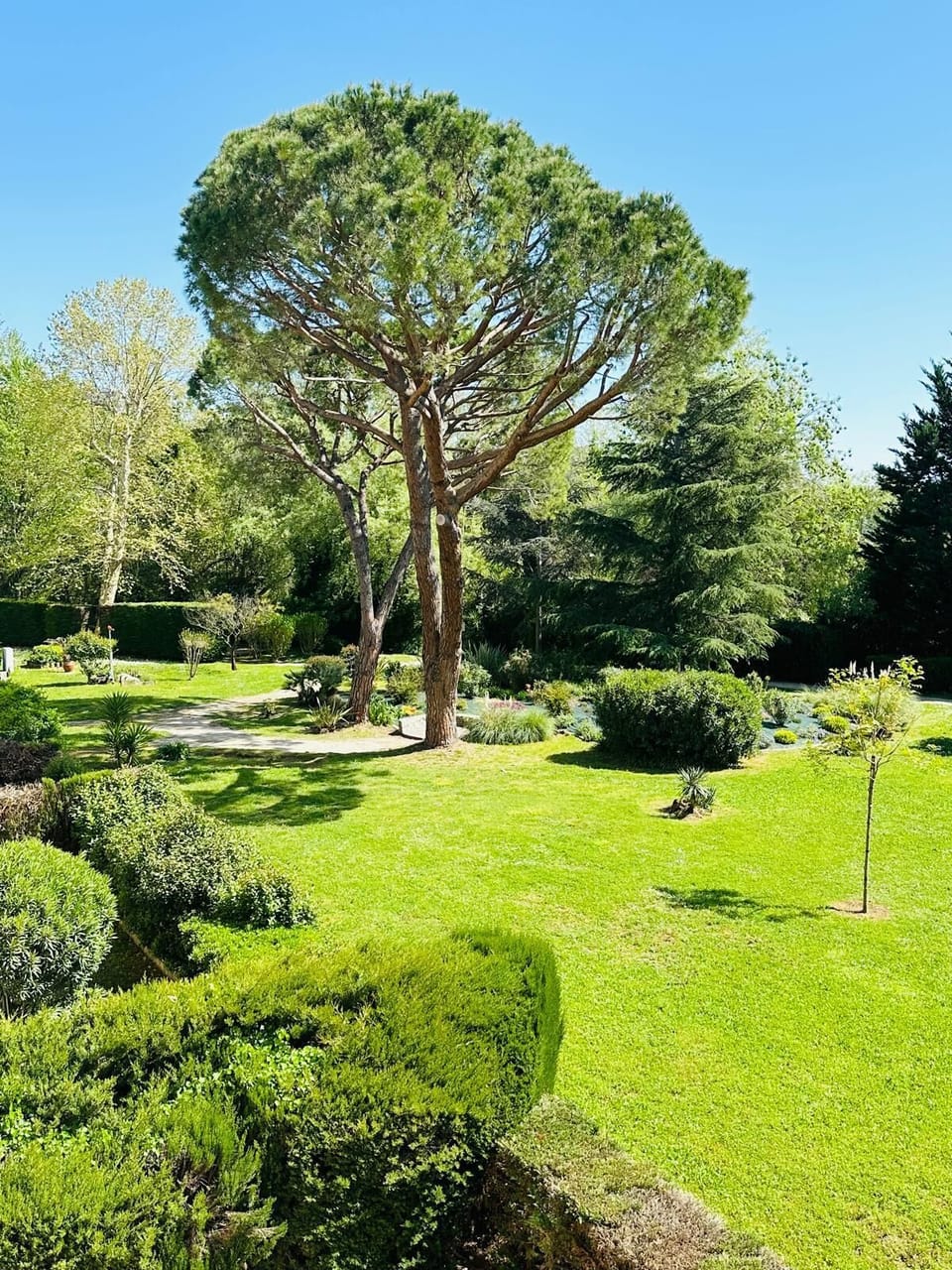 park