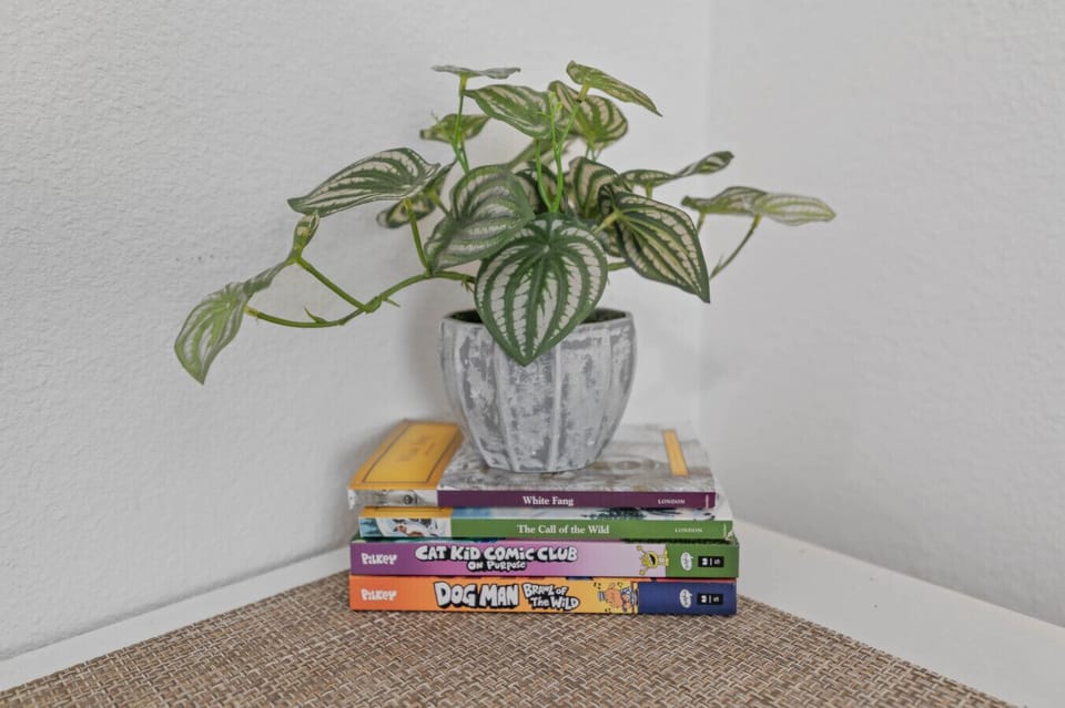 Charming decor with books to read to make your stay feel like home.