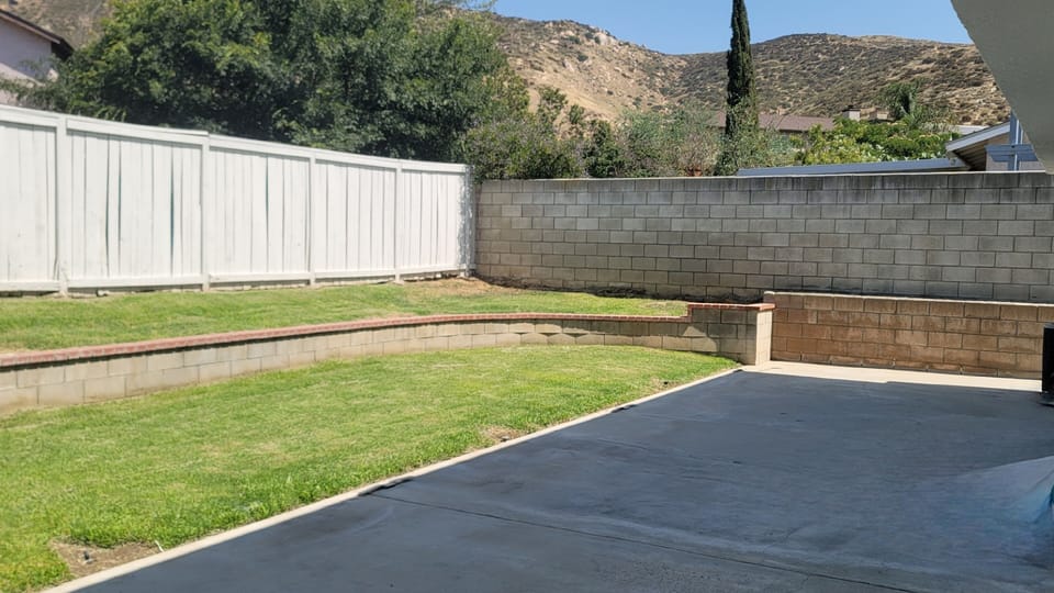 Backyard view 1