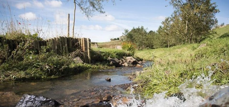 Stream by our island bbq /firepit area