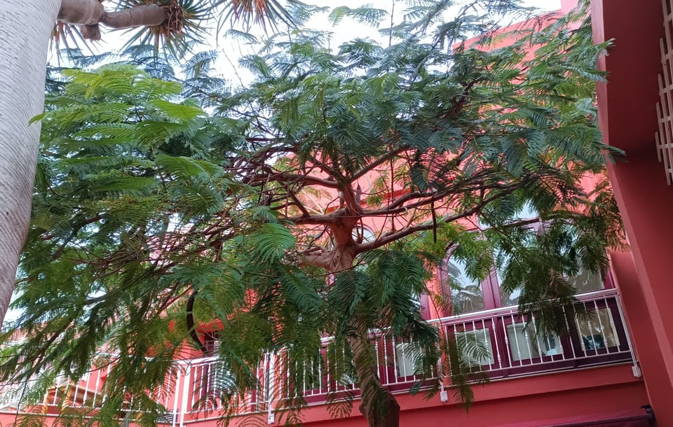 Exterior detail