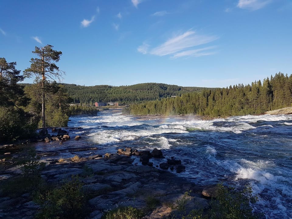 Area that directly surrounds the property