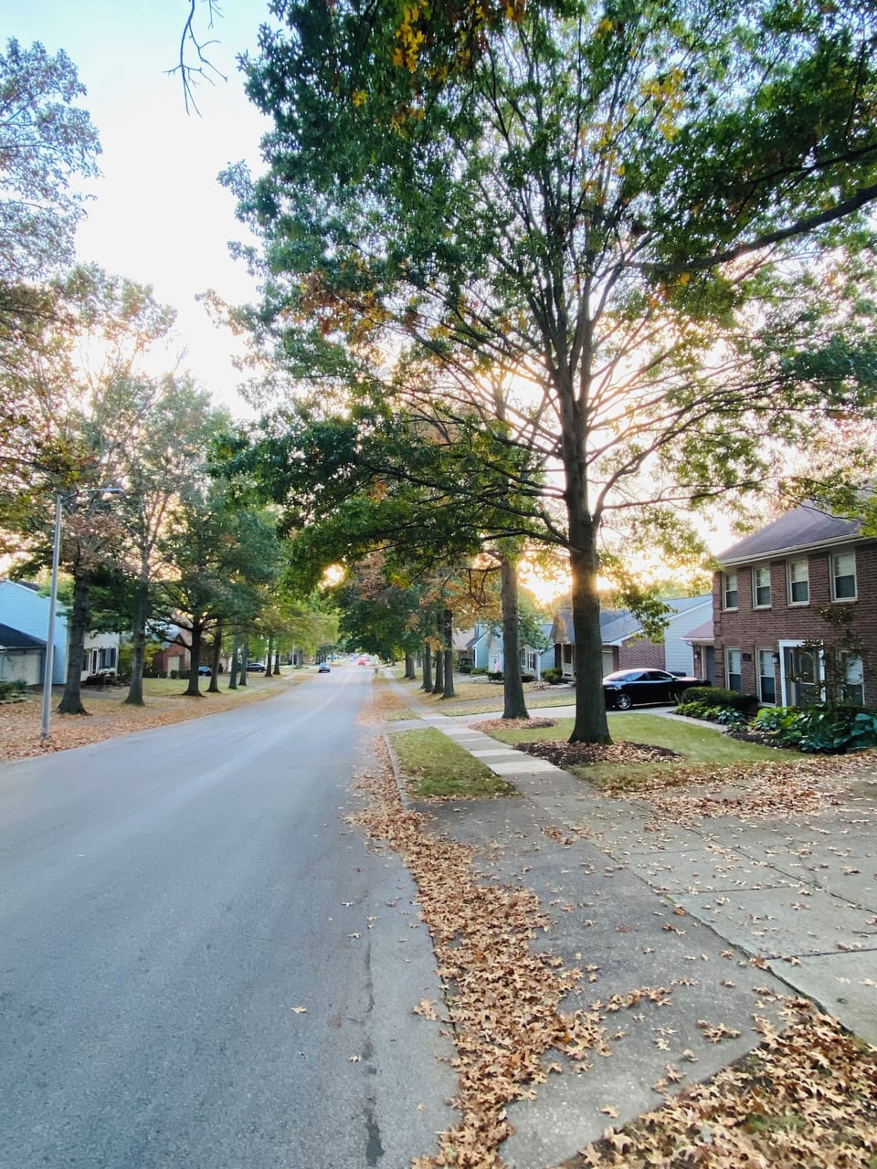 Great and safe neighborhood.. so family/friendly!! 