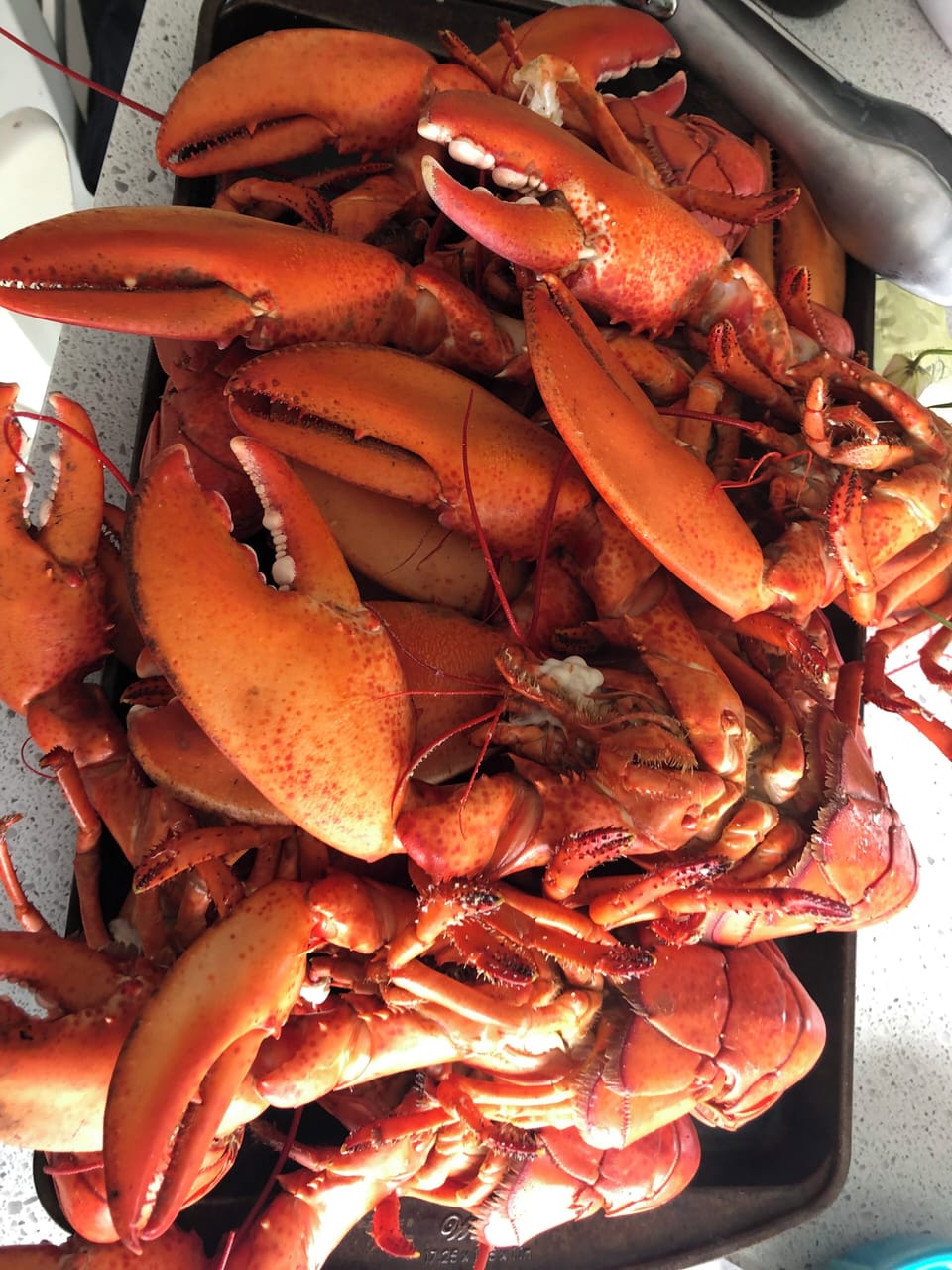 A good days catch. 