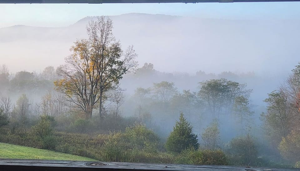 View from property