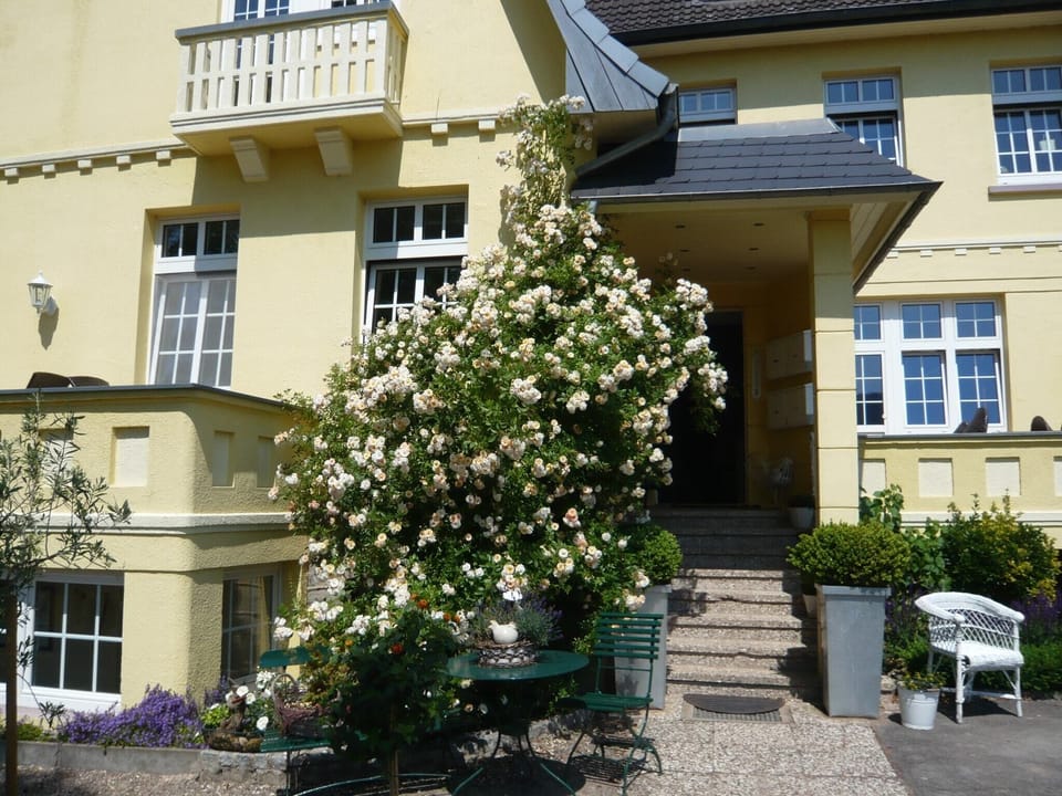 Entrance / Reception