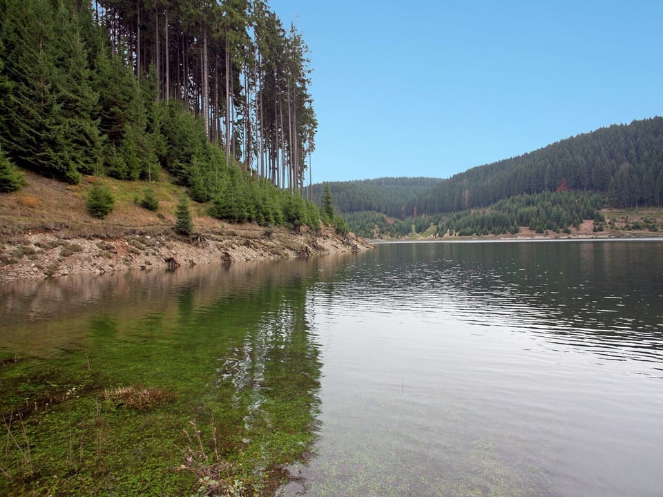 Surroundings [summer] (1-5 km)