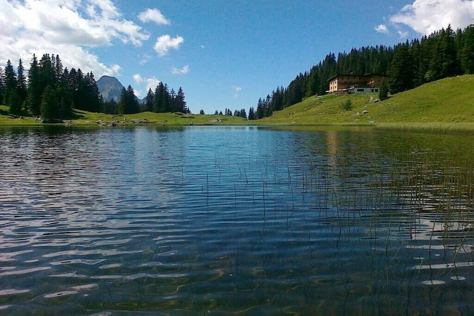 Surroundings [summer] (1-5 km)