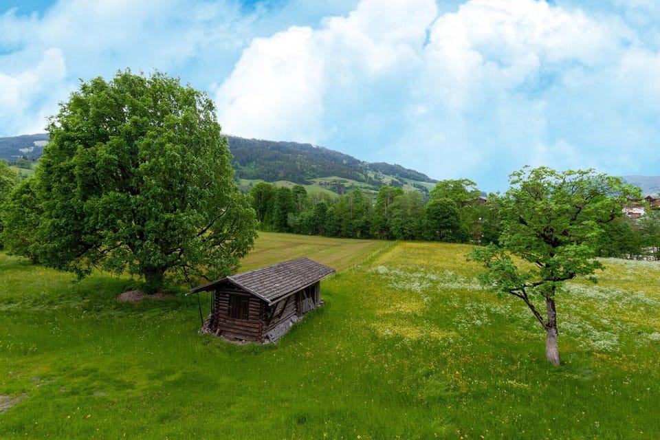 Garden [summer]
