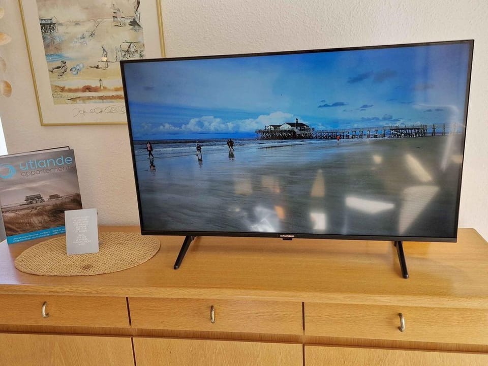 Television