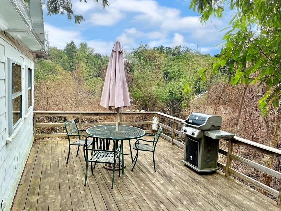 Back deck with webber grill. Outdoor shower also in the back.