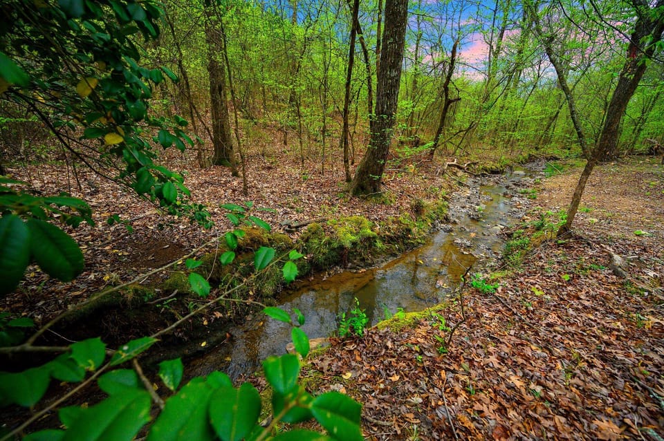 Let the sound of the spring-fed creek set the pace for your stay—calm, cool, and constant.