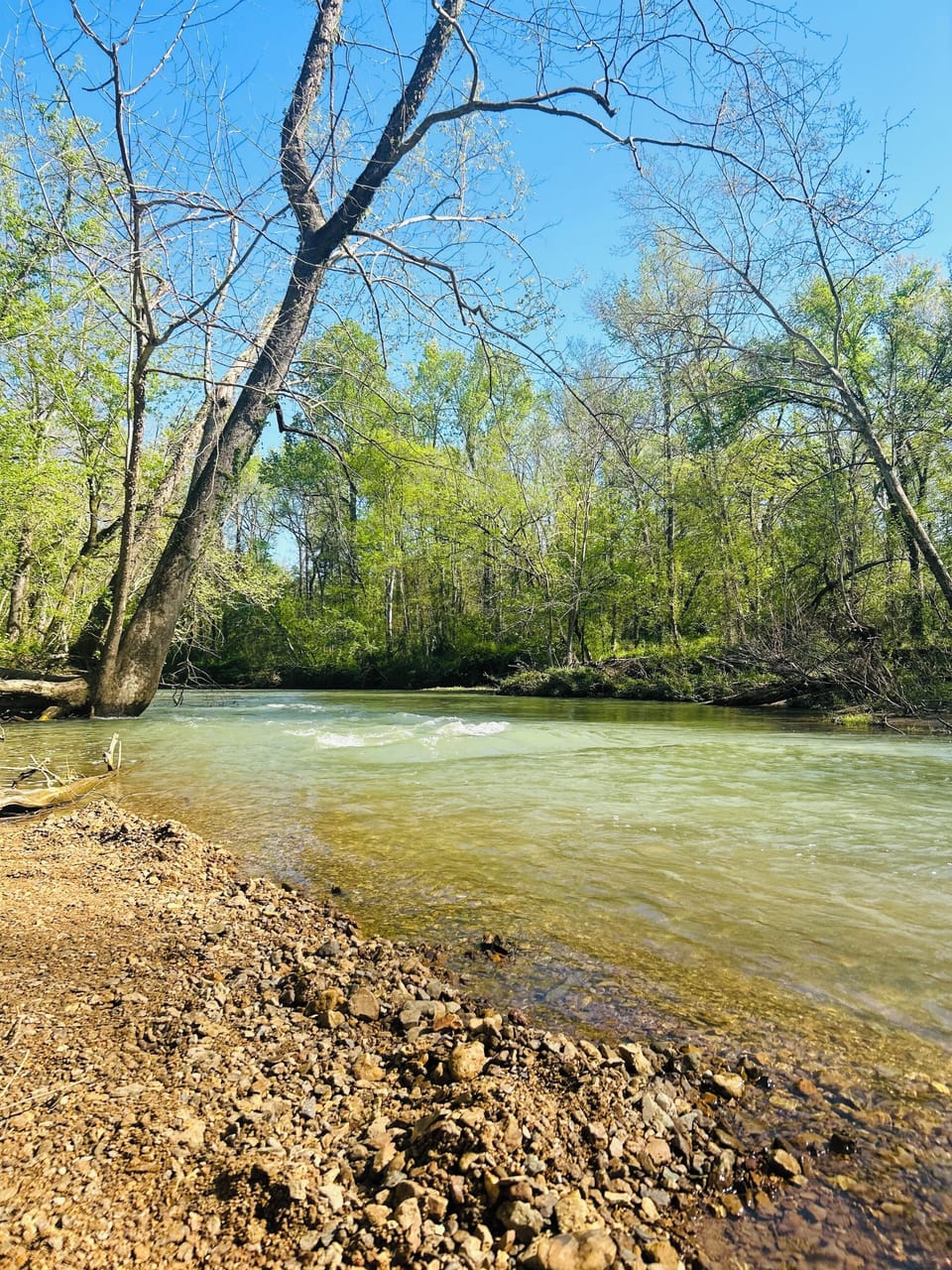 Kayak rentals to Lookout Creek which is 5 miles away. drop off & pick up