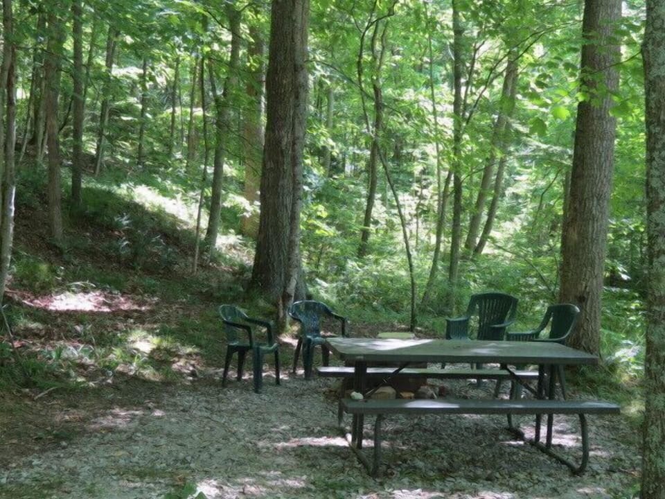 Fire Pit